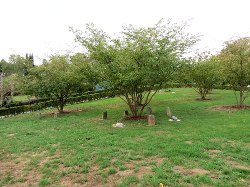 Baumgräber von Parkbestattungen auf dem Friedhof Dennhausen in Fuldabrück