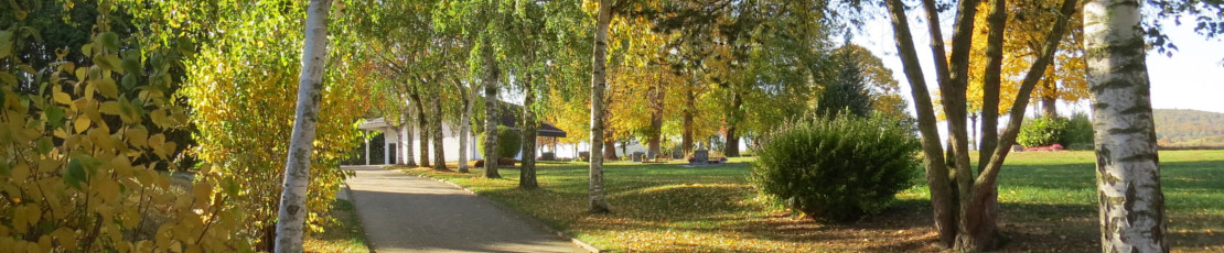 Bestattungen Friedhof Ehlen in Habichtswald - Holzapfel Bestattungen