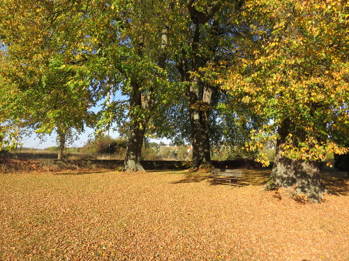 Friedhof in Ehlen