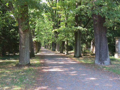 Waldwege auf dem Hauptfriedhof in Kassel