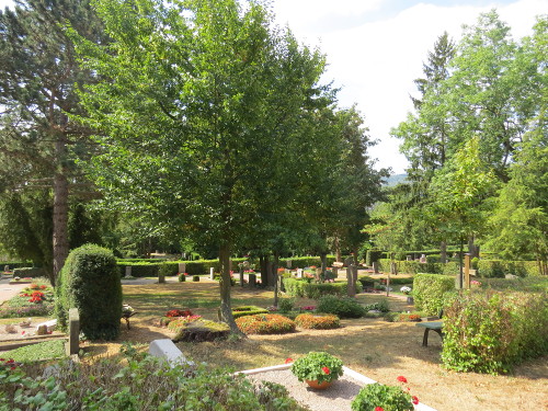 Friedhof Kirchditmold in Kassel Gesamt