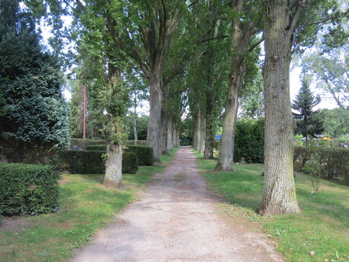 Friedhof Rothenditmold in Kassel